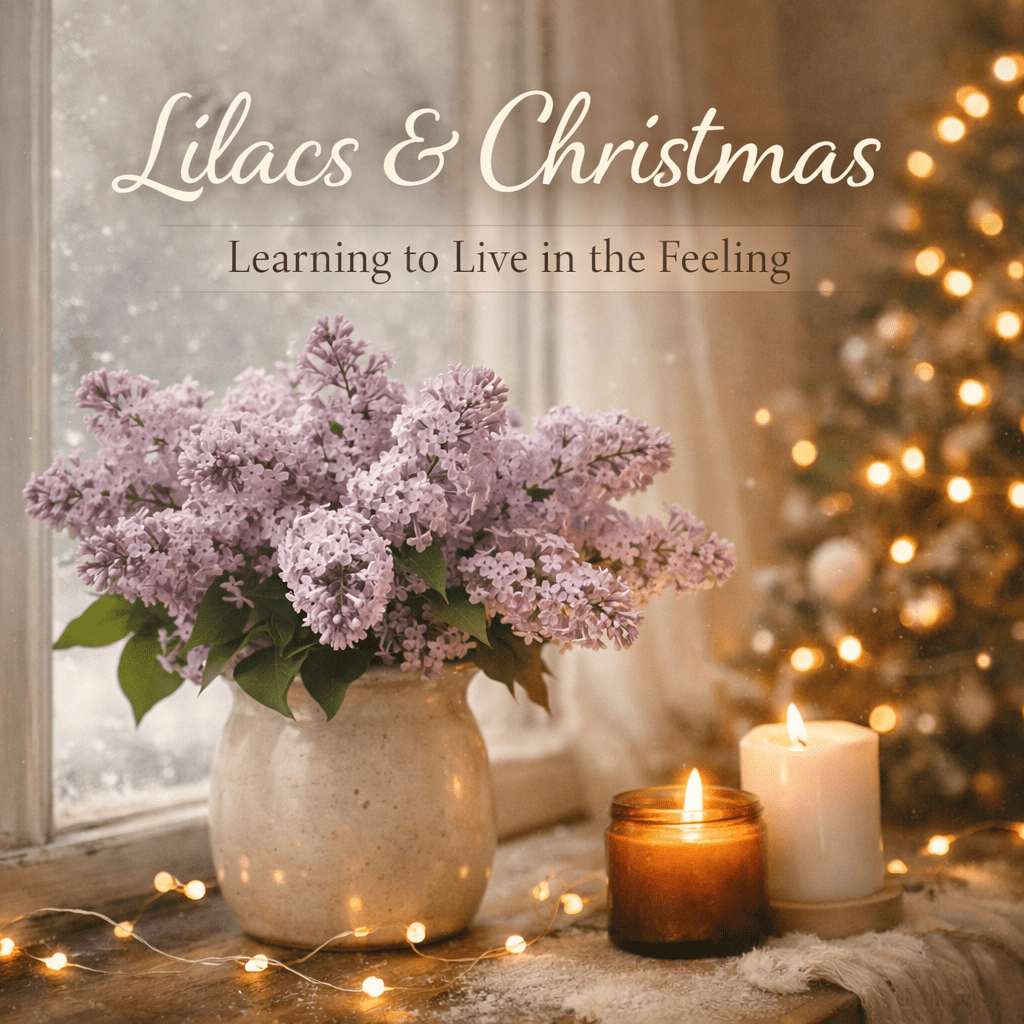 Lilacs & Christmas | The Feeling I was Meant to Live In - Winterberry Hearth