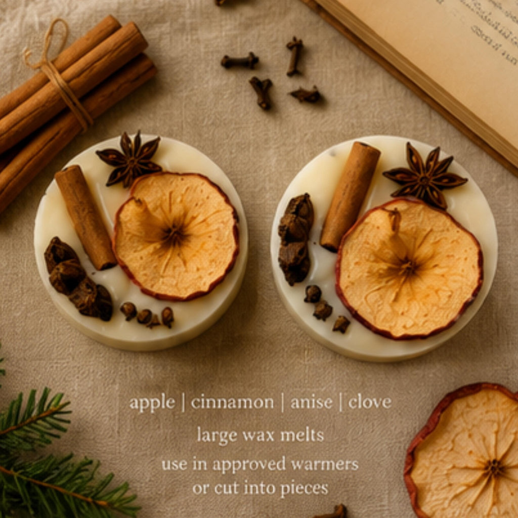 Apple Cider Hearth Wax Melt, Wickless Candle, Lamp Warmer Tart, Cozy Autumn Fragrance - Winterberry Hearth