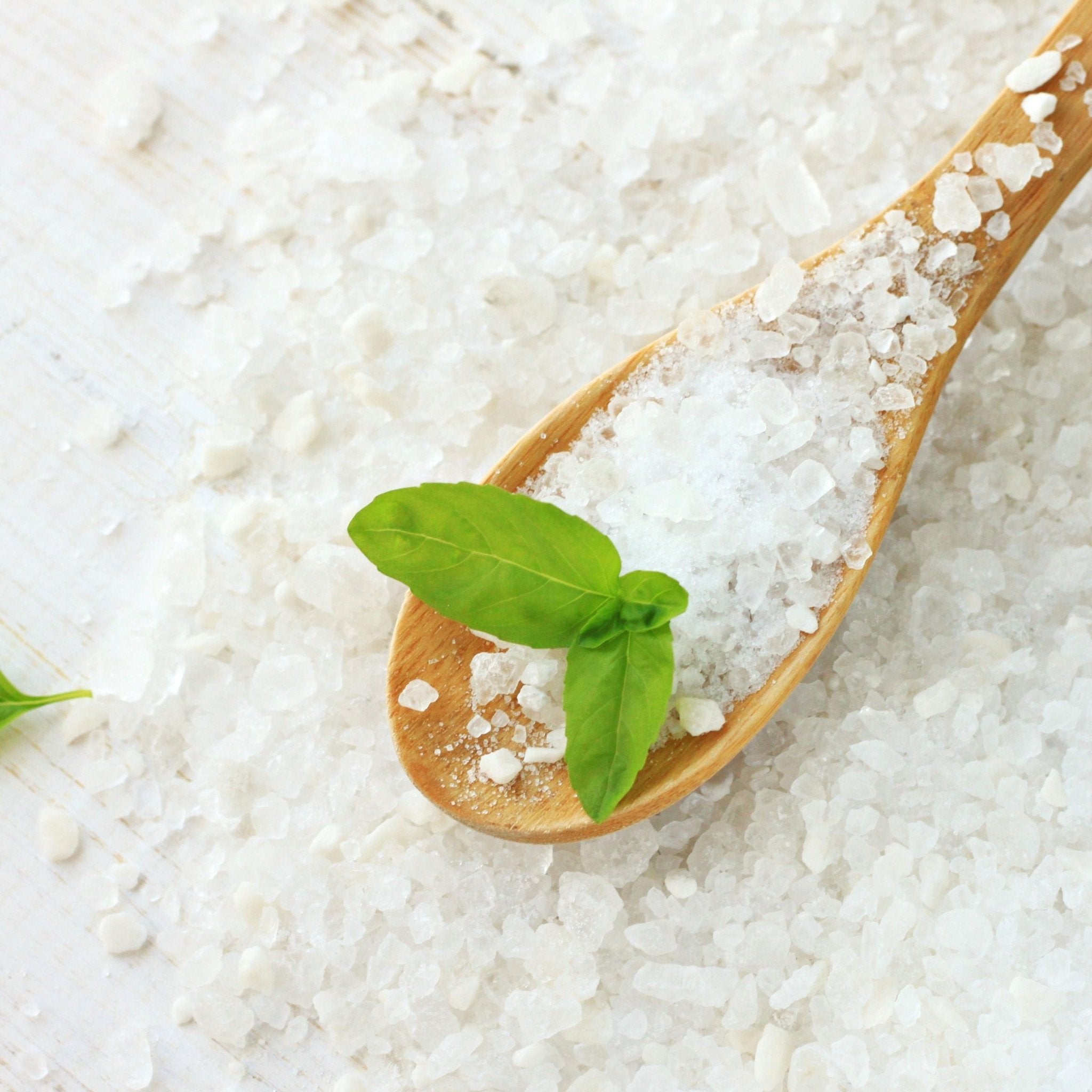 Basil Salt, Fresh Gourmet Herb Blend, Finishing Salt for Cooking, Tomatoes & Pasta - Winterberry Hearth