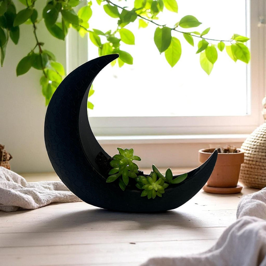 Black Crescent Moon Succulent Planter with Shooting Star Sedum, Gothic Celestial Plant Gift - Winterberry Hearth