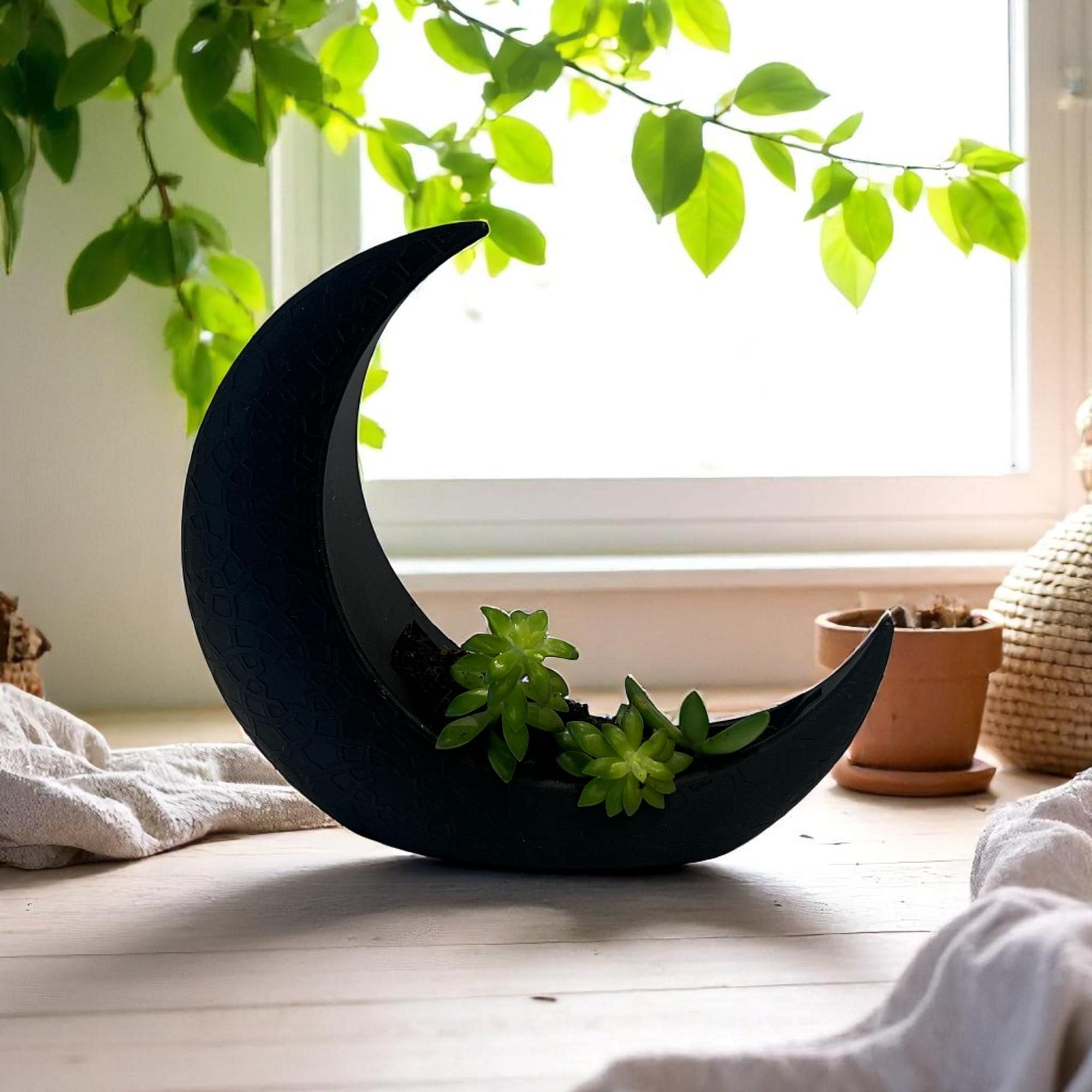 Black Crescent Moon Succulent Planter with Shooting Star Sedum, Gothic Celestial Plant Gift - Winterberry Hearth