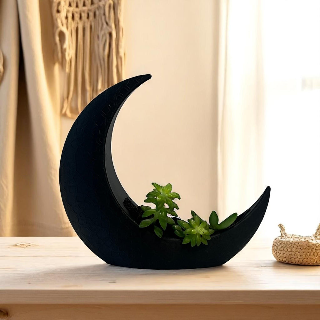 Black Crescent Moon Succulent Planter with Shooting Star Sedum, Gothic Celestial Plant Gift - Winterberry Hearth