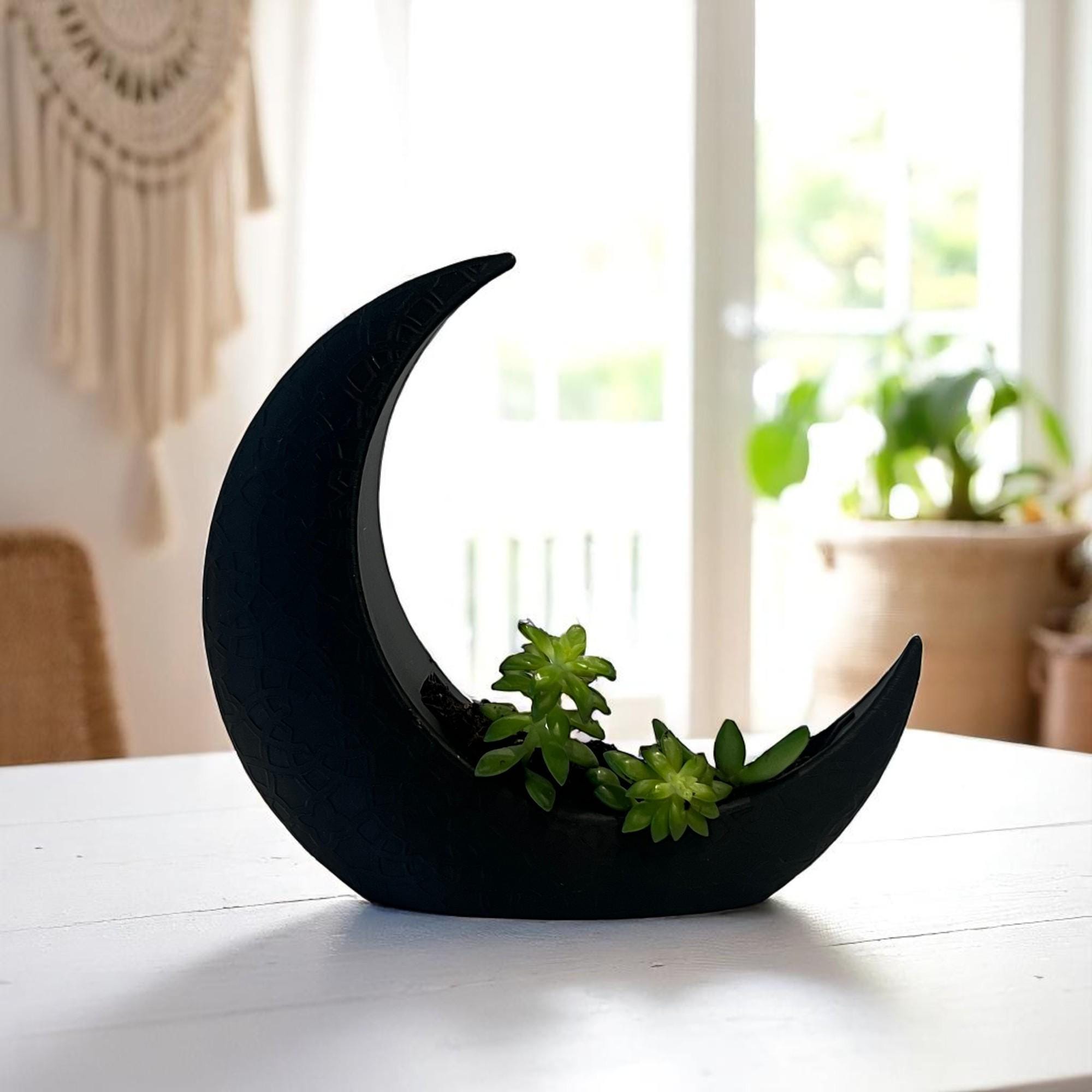 Black Crescent Moon Succulent Planter with Shooting Star Sedum, Gothic Celestial Plant Gift - Winterberry Hearth
