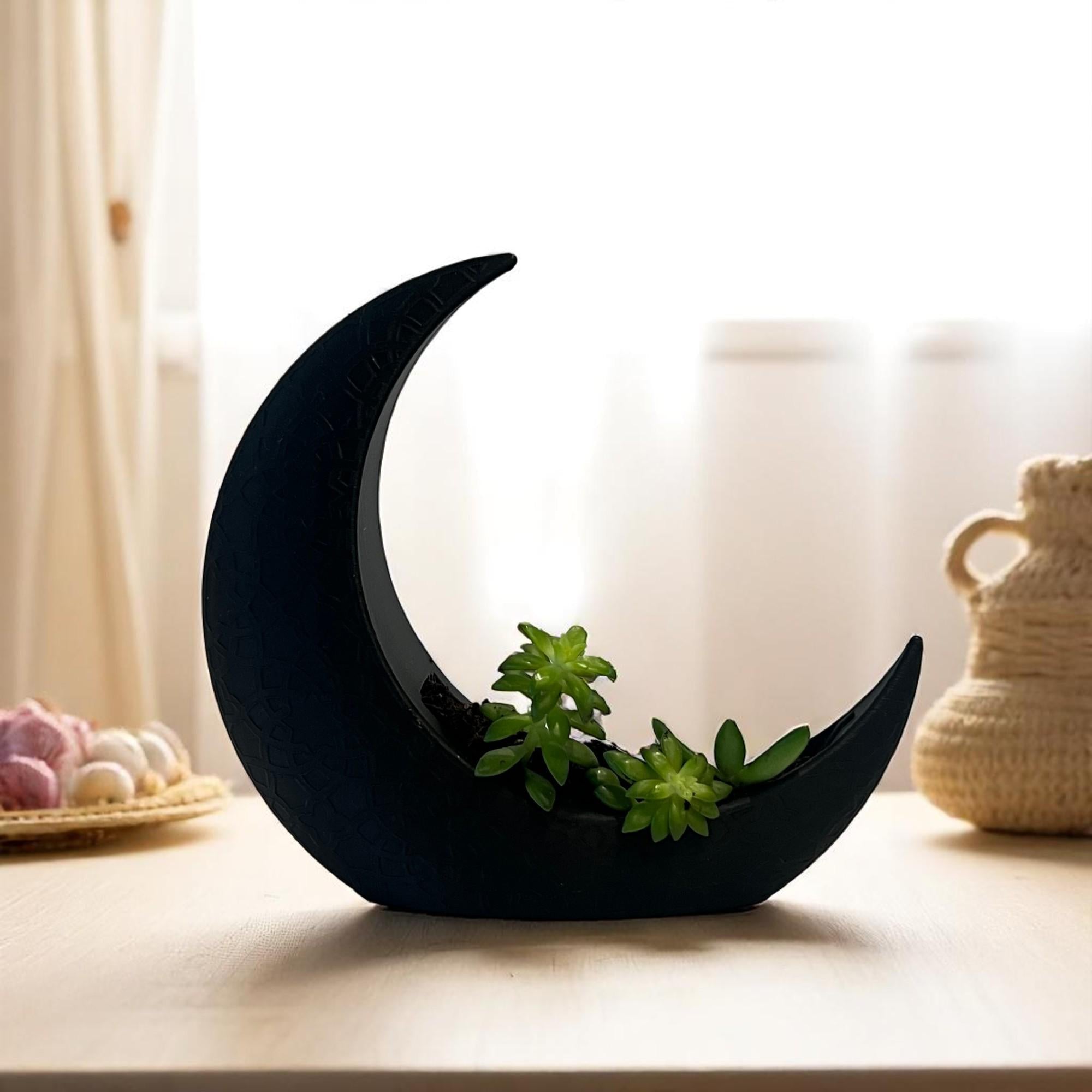 Black Crescent Moon Succulent Planter with Shooting Star Sedum, Gothic Celestial Plant Gift - Winterberry Hearth