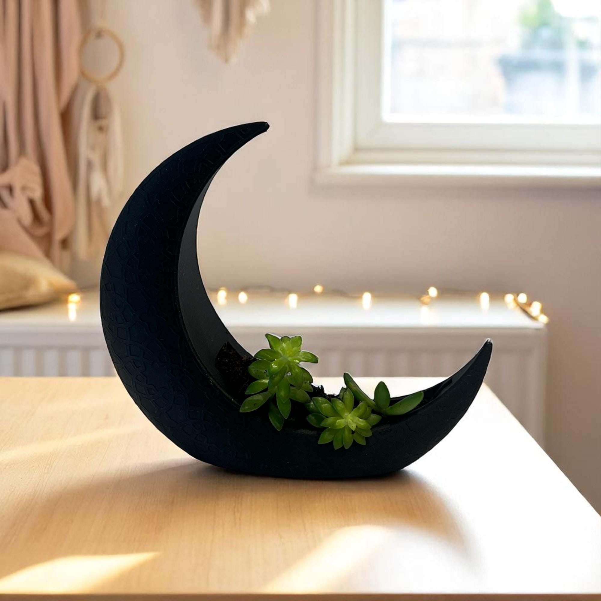 Black Crescent Moon Succulent Planter with Shooting Star Sedum, Gothic Celestial Plant Gift - Winterberry Hearth