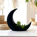 Black Crescent Moon Succulent Planter with Shooting Star Sedum, Gothic Celestial Plant Gift - Winterberry Hearth