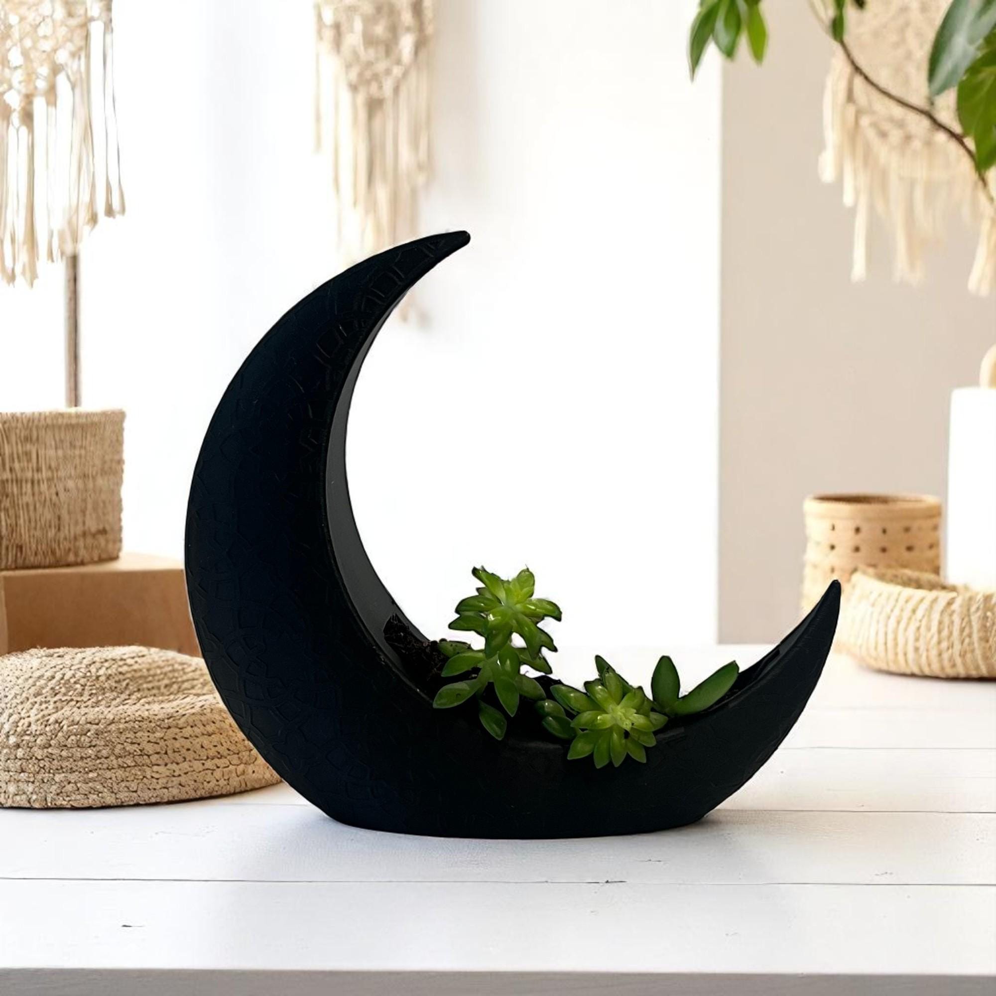 Black Crescent Moon Succulent Planter with Shooting Star Sedum, Gothic Celestial Plant Gift - Winterberry Hearth