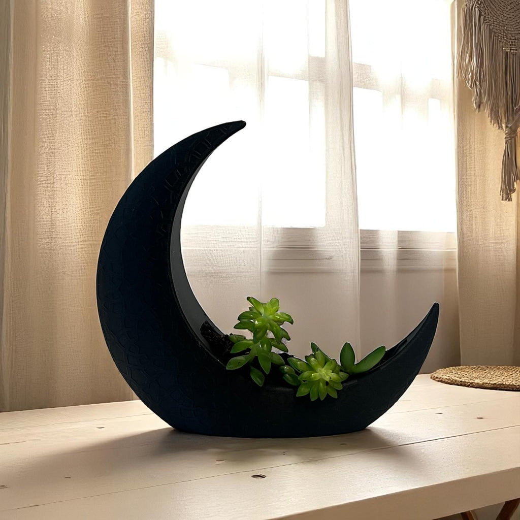 Black Crescent Moon Succulent Planter with Shooting Star Sedum, Gothic Celestial Plant Gift - Winterberry Hearth
