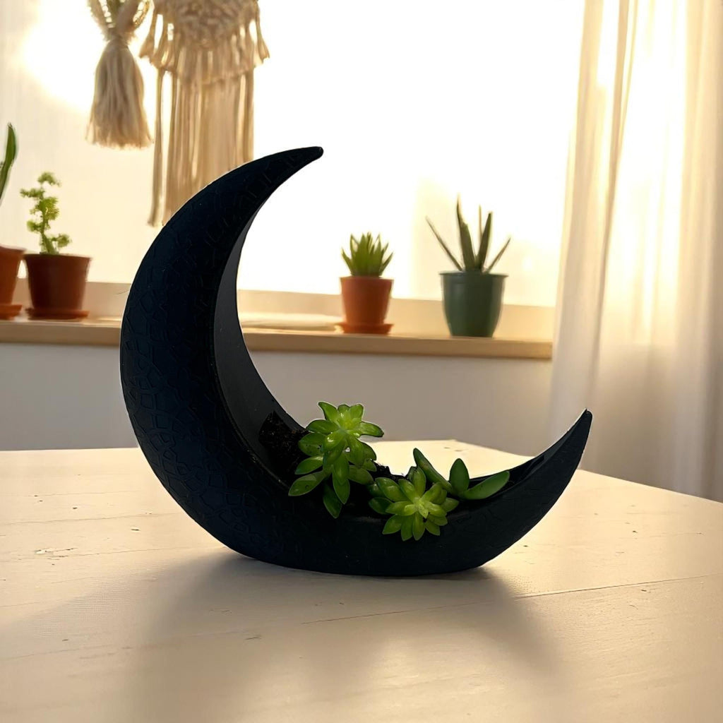 Black Crescent Moon Succulent Planter with Shooting Star Sedum, Gothic Celestial Plant Gift - Winterberry Hearth