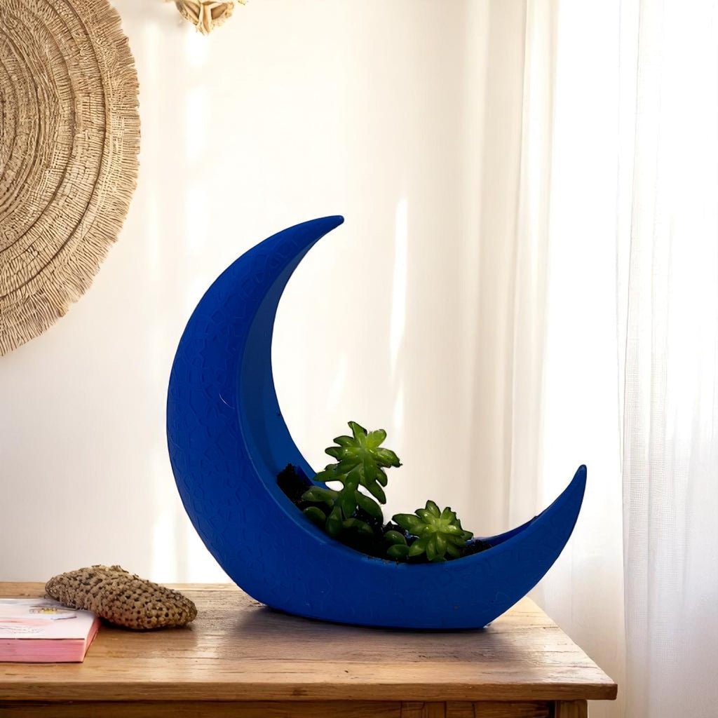 Blue Crescent Moon Succulent Planter with Shooting Star Sedum, Mystical Lunar Celestial Gift - Winterberry Hearth