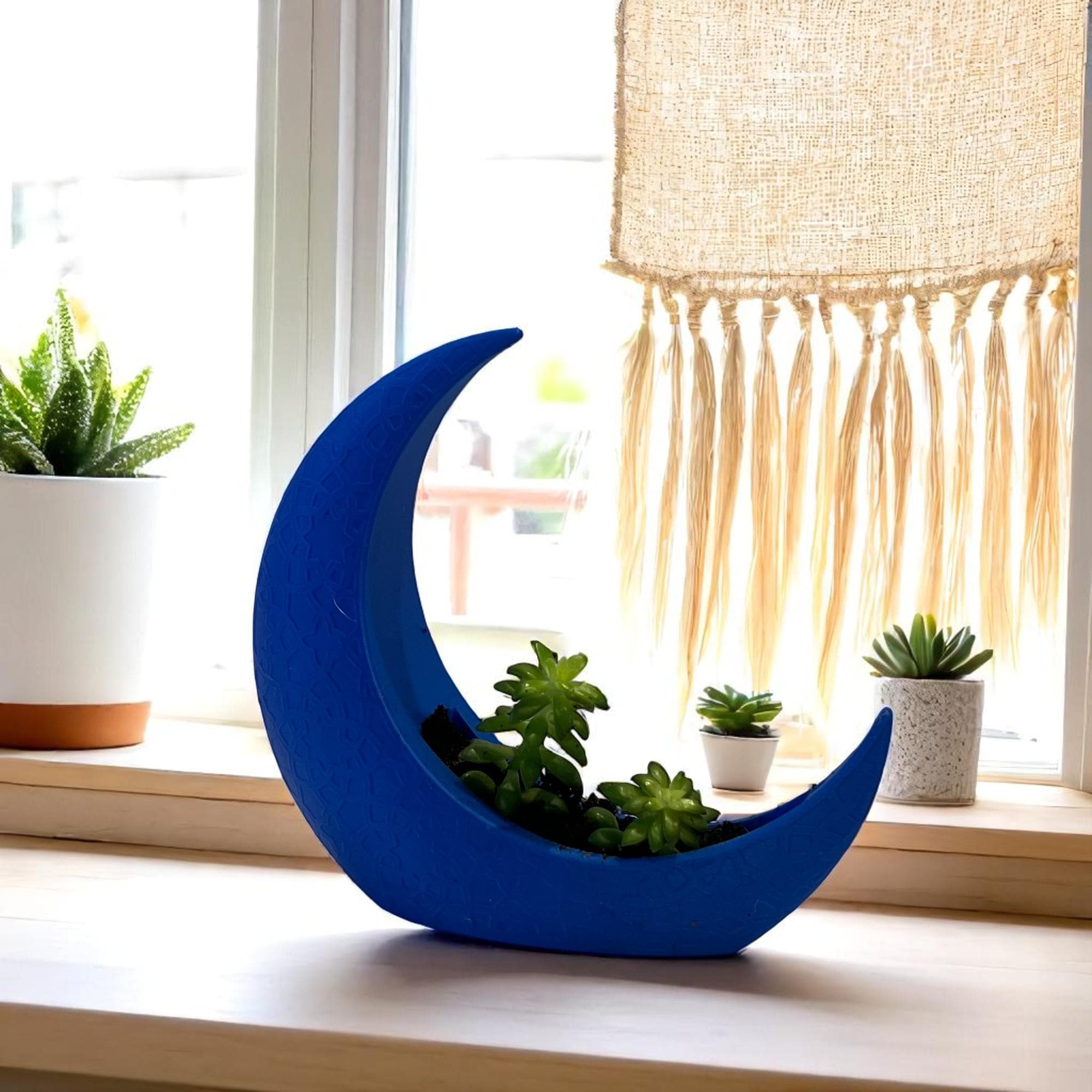 Blue Crescent Moon Succulent Planter with Shooting Star Sedum, Mystical Lunar Celestial Gift - Winterberry Hearth