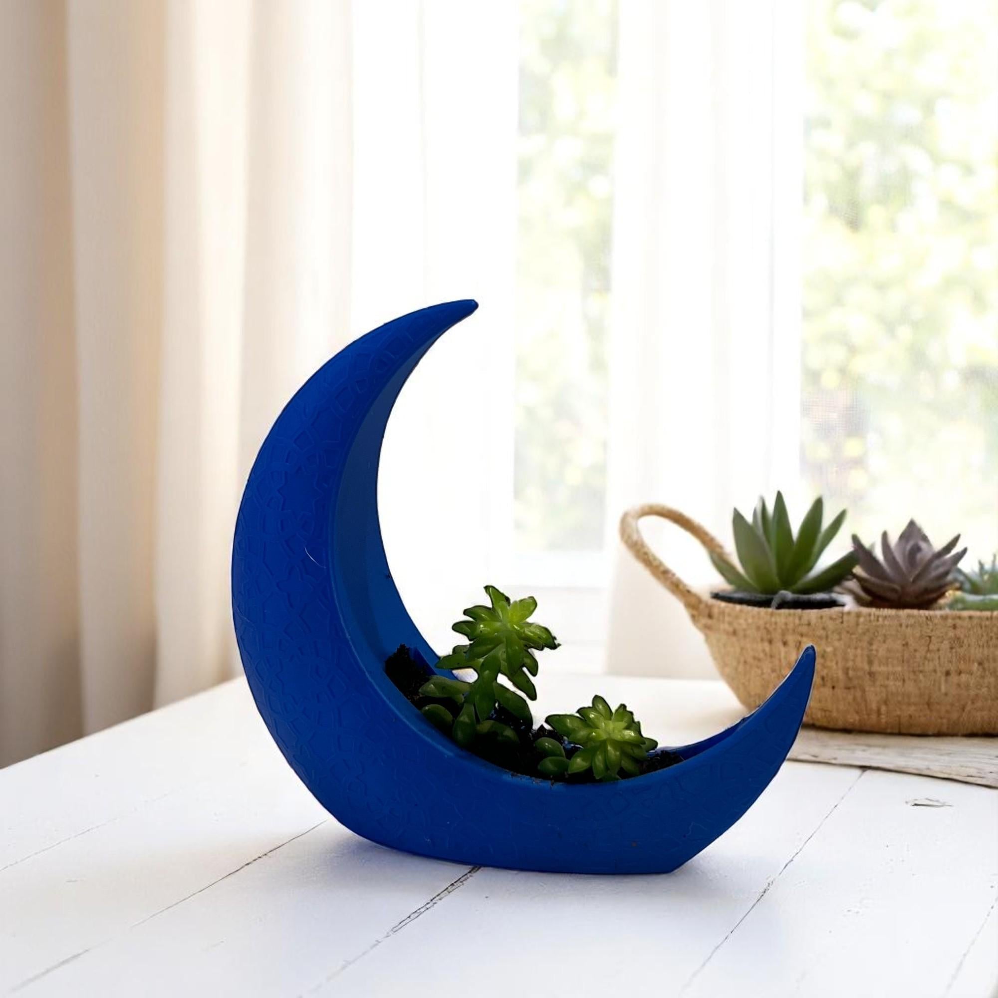 Blue Crescent Moon Succulent Planter with Shooting Star Sedum, Mystical Lunar Celestial Gift - Winterberry Hearth