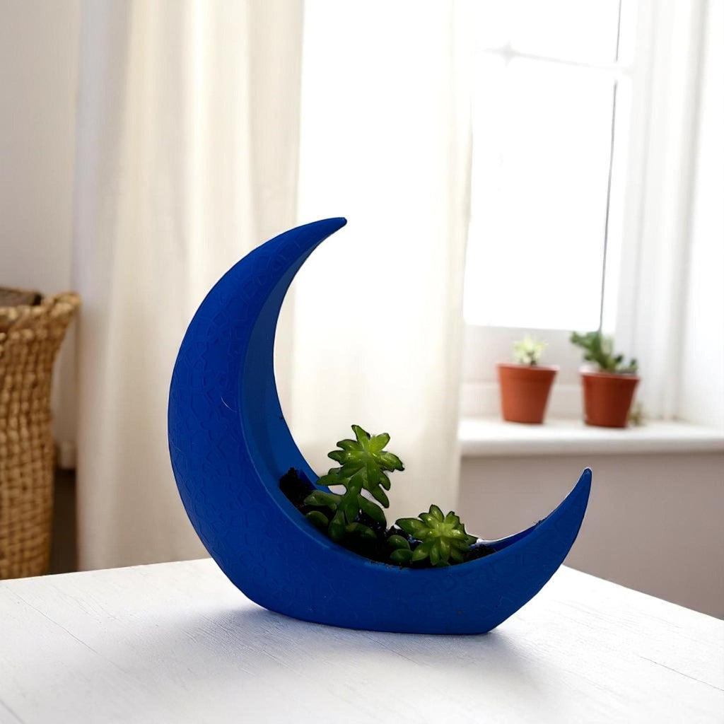 Blue Crescent Moon Succulent Planter with Shooting Star Sedum, Mystical Lunar Celestial Gift - Winterberry Hearth