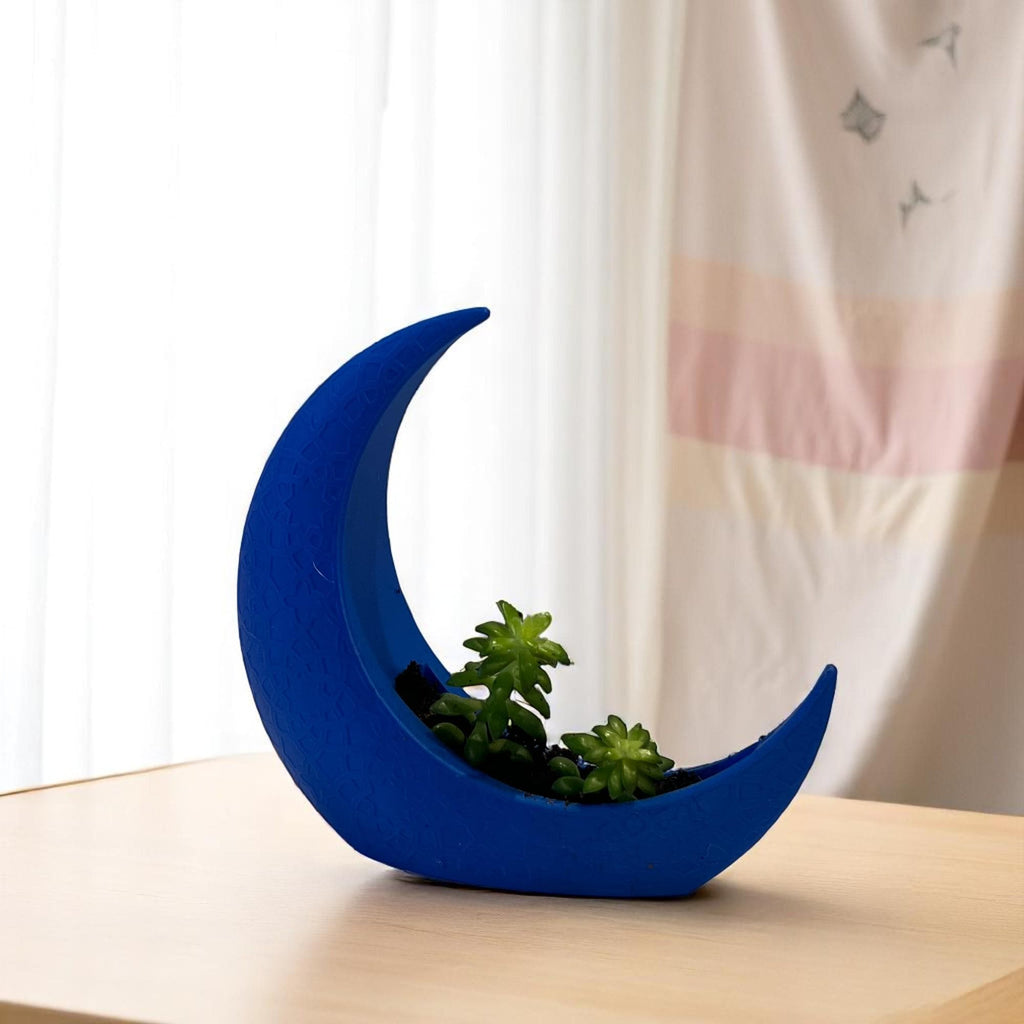 Blue Crescent Moon Succulent Planter with Shooting Star Sedum, Mystical Lunar Celestial Gift - Winterberry Hearth