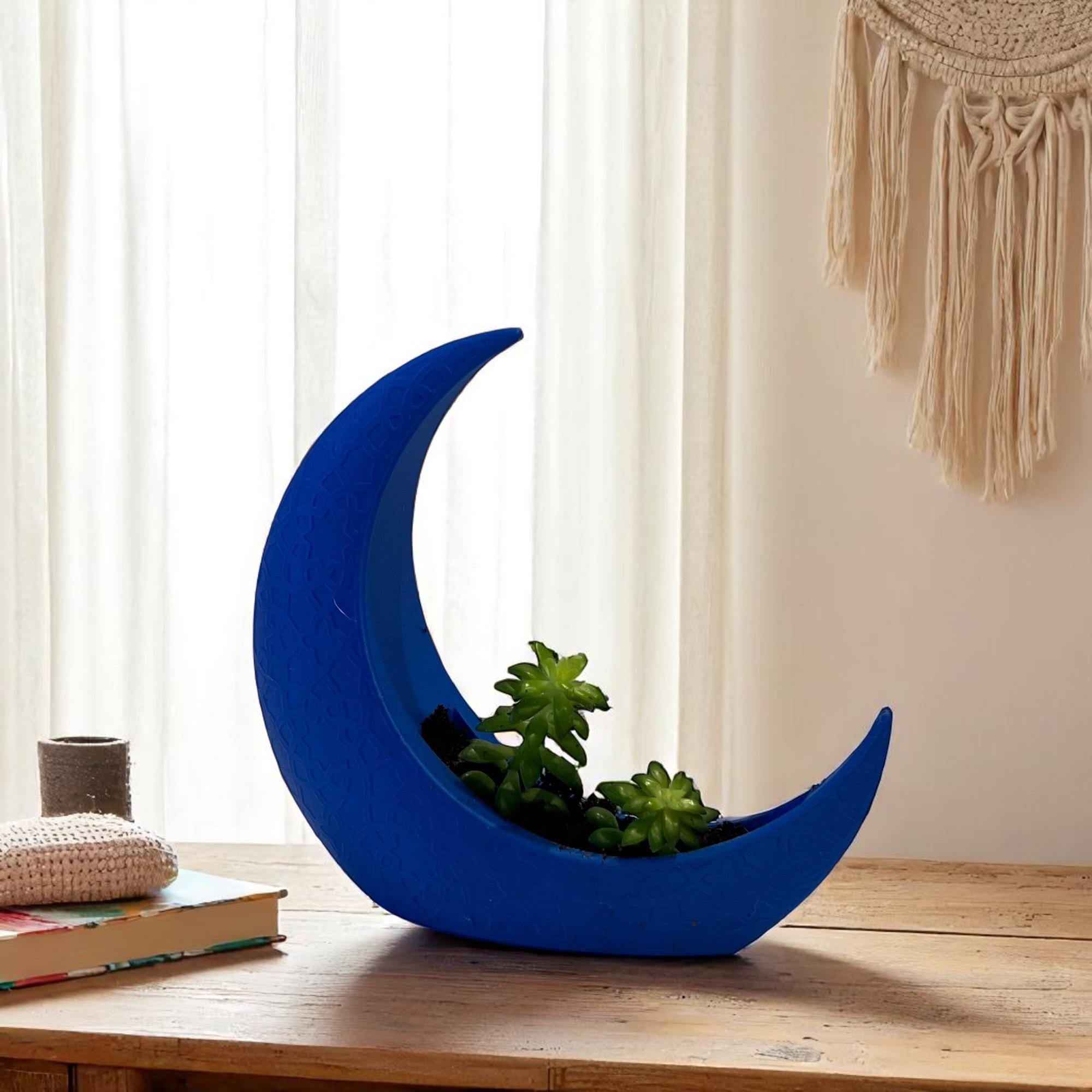 Blue Crescent Moon Succulent Planter with Shooting Star Sedum, Mystical Lunar Celestial Gift - Winterberry Hearth