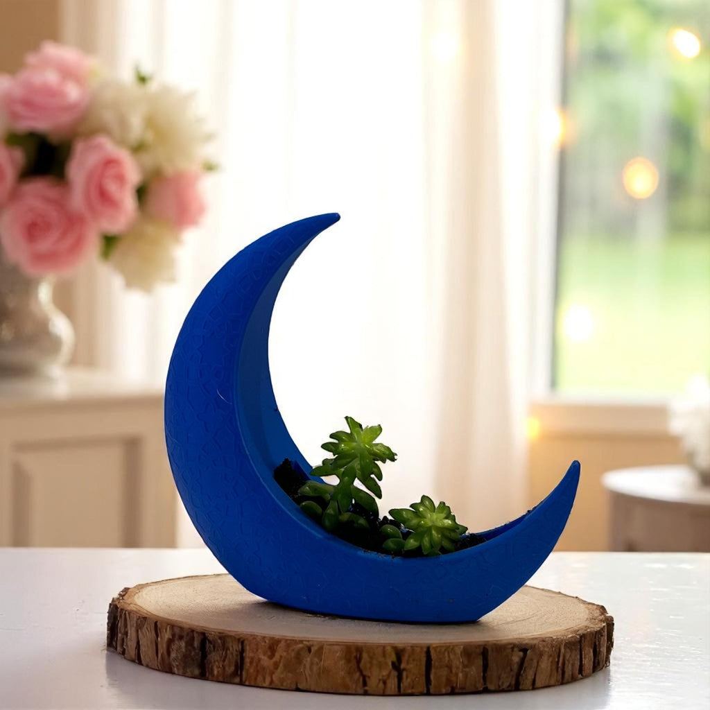 Blue Crescent Moon Succulent Planter with Shooting Star Sedum, Mystical Lunar Celestial Gift - Winterberry Hearth