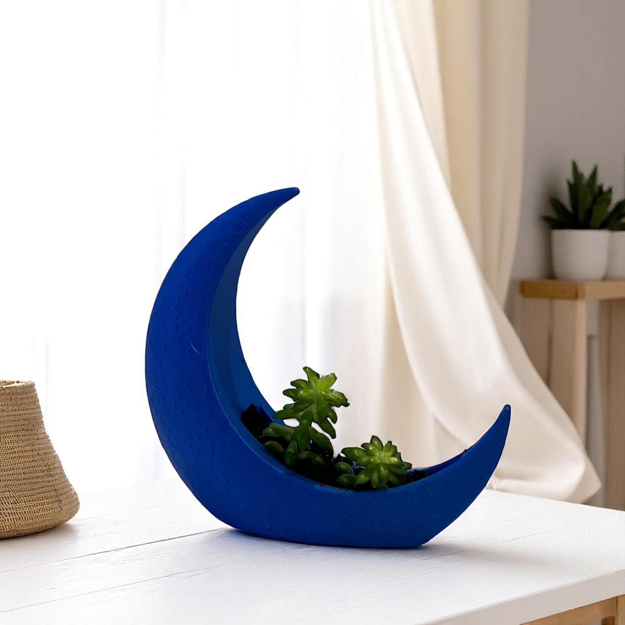Blue Crescent Moon Succulent Planter with Shooting Star Sedum, Mystical Lunar Celestial Gift - Winterberry Hearth