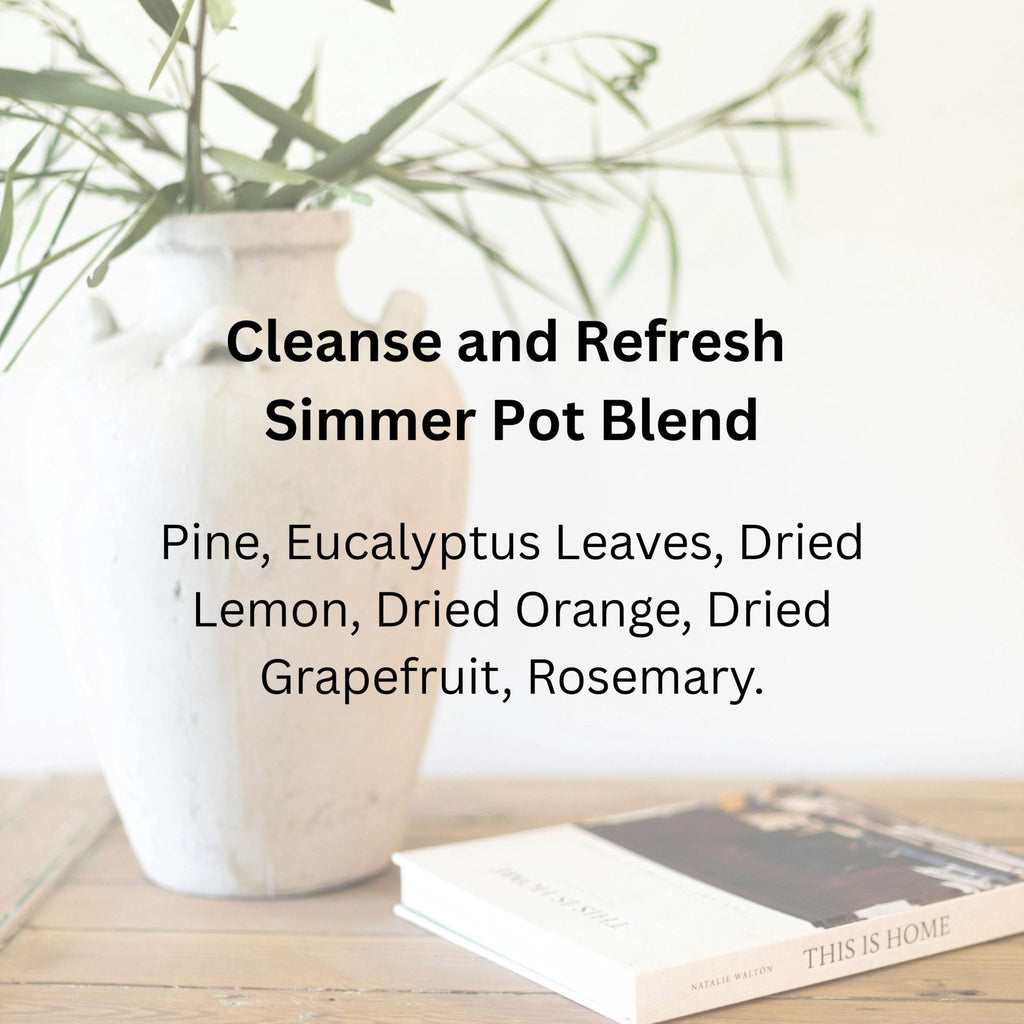 Cleanse & Refresh Simmer Pot Blend, Energy Clearing Aromatherapy, Herbal Stove Simmer - Winterberry Hearth