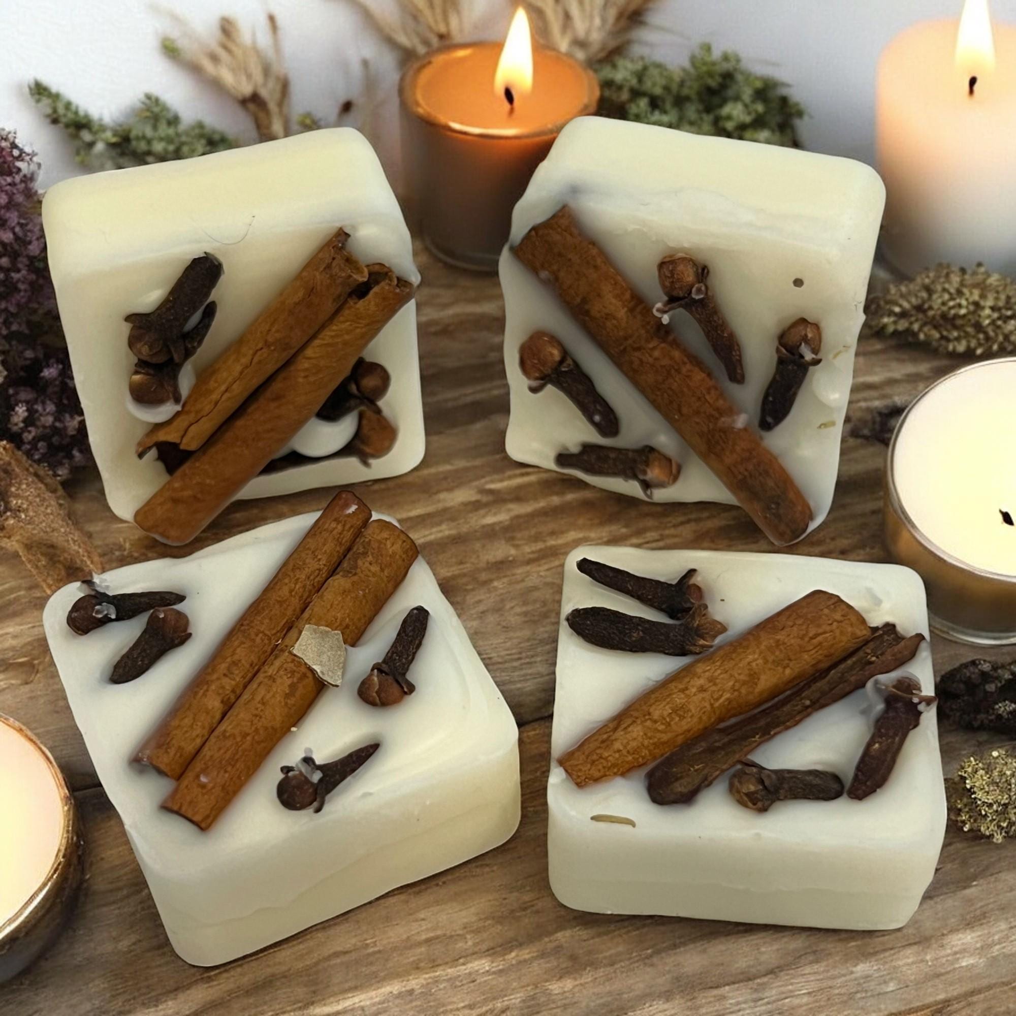 Clove & Cinnamon Soy Wax Melts: Herbal Infused Aromatherapy Tarts, Set of 12 - Winterberry Hearth