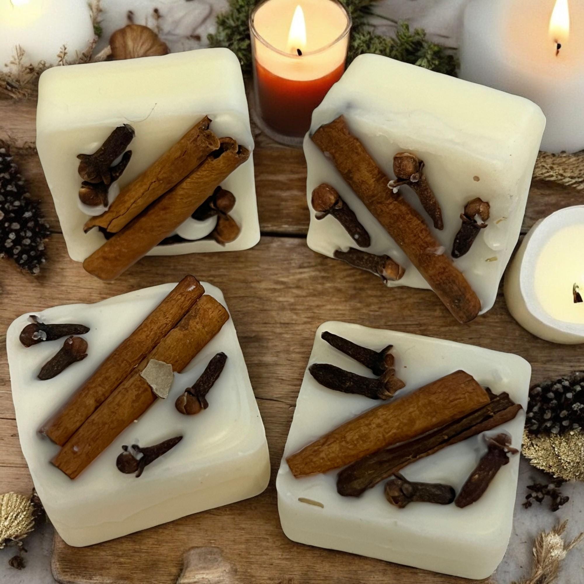 Clove & Cinnamon Soy Wax Melts: Herbal Infused Aromatherapy Tarts, Set of 12 - Winterberry Hearth
