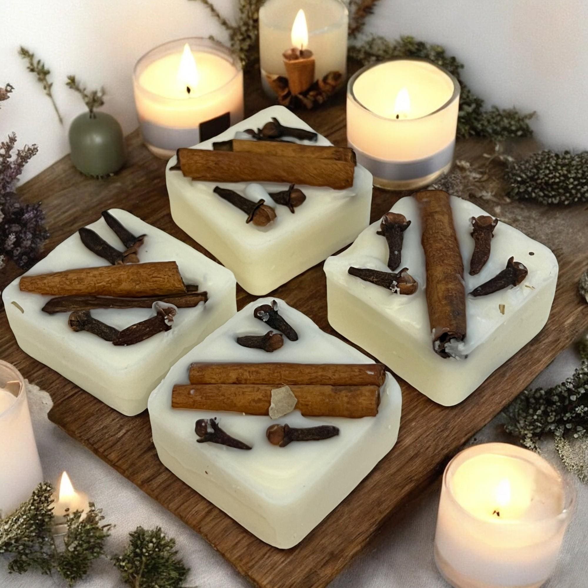 Clove & Cinnamon Soy Wax Melts: Herbal Infused Aromatherapy Tarts, Set of 12 - Winterberry Hearth