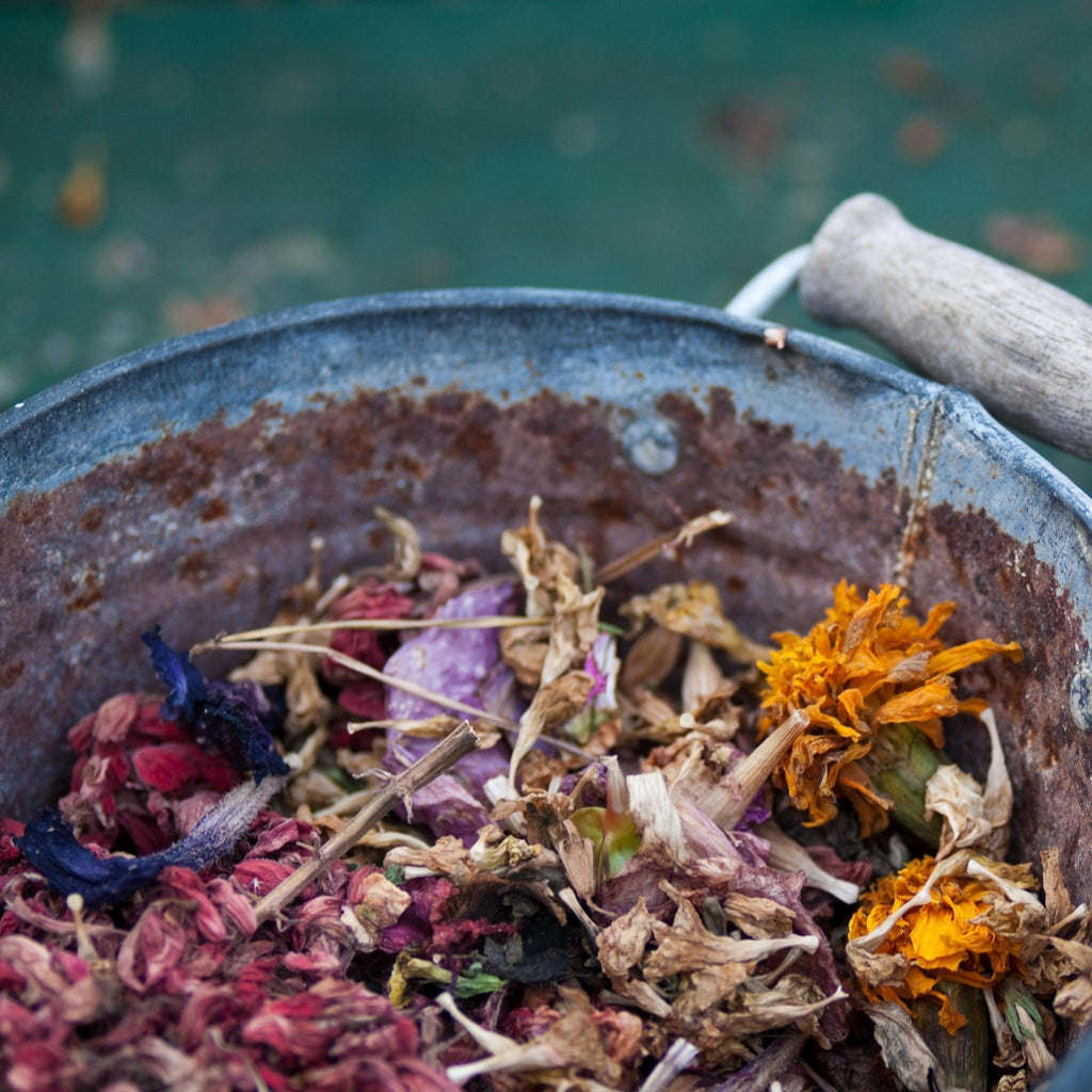 Coastal Calm Simmer Pot, Lime Lavender Bay Lead Stovetop Potpourri, Fresh Coastal Home Fragrance - Winterberry Hearth