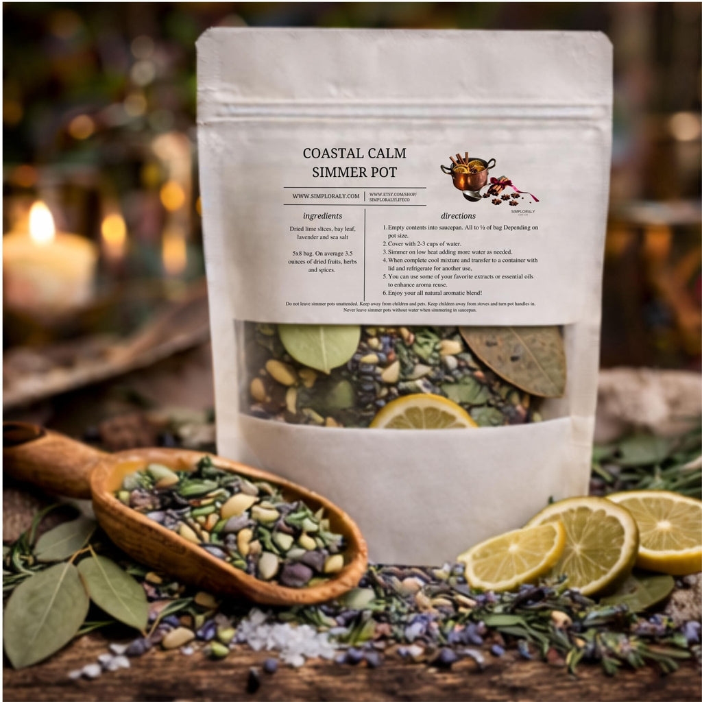 Coastal Calm Simmer Pot, Lime Lavender Bay Lead Stovetop Potpourri, Fresh Coastal Home Fragrance - Winterberry Hearth