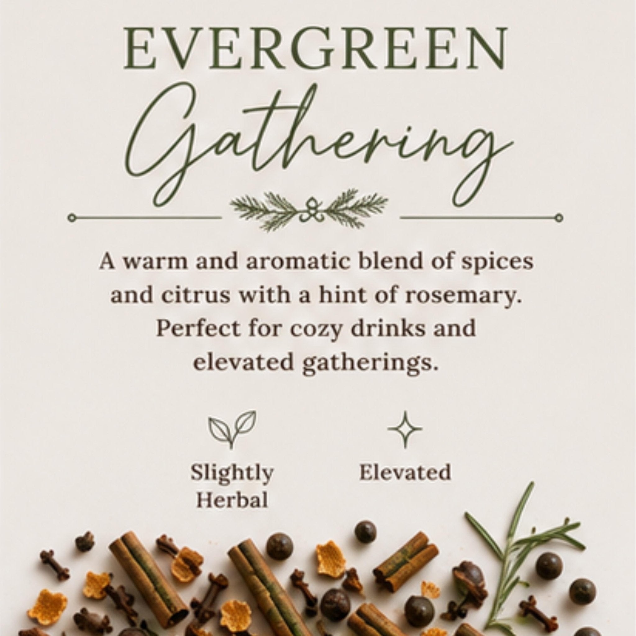 Evergreen Gathering Mulling Spice Blend, Apple Cider Kit, Mulled Wine Drink Pack Old World - Winterberry Hearth