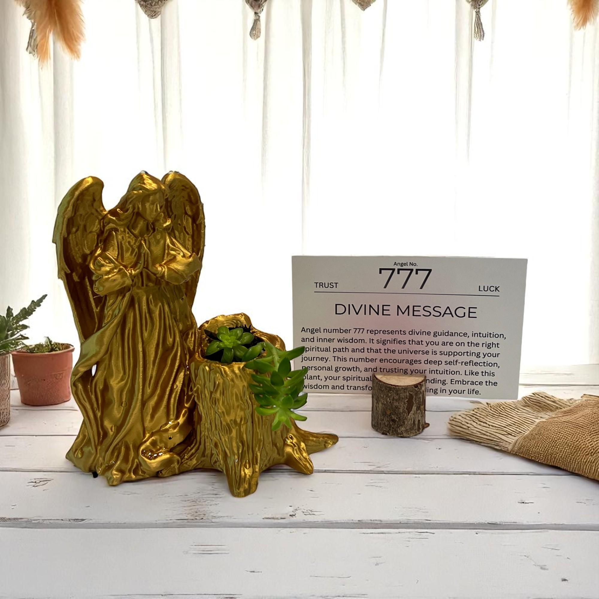 Gold Angel 777 Succulent Planter with Sedum Adolphi, Spiritual Luck and Alignment Gift - Winterberry Hearth