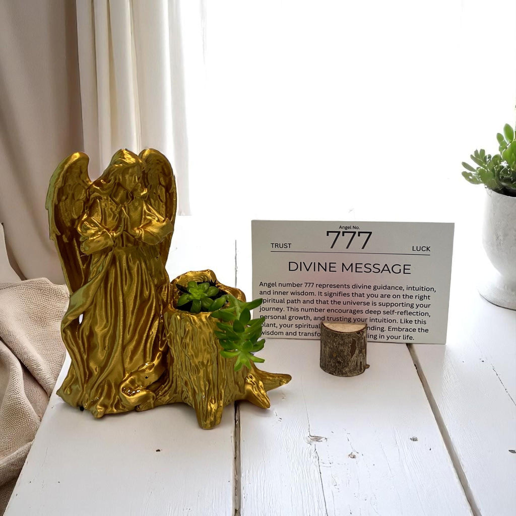 Gold Angel 777 Succulent Planter with Sedum Adolphi, Spiritual Luck and Alignment Gift - Winterberry Hearth