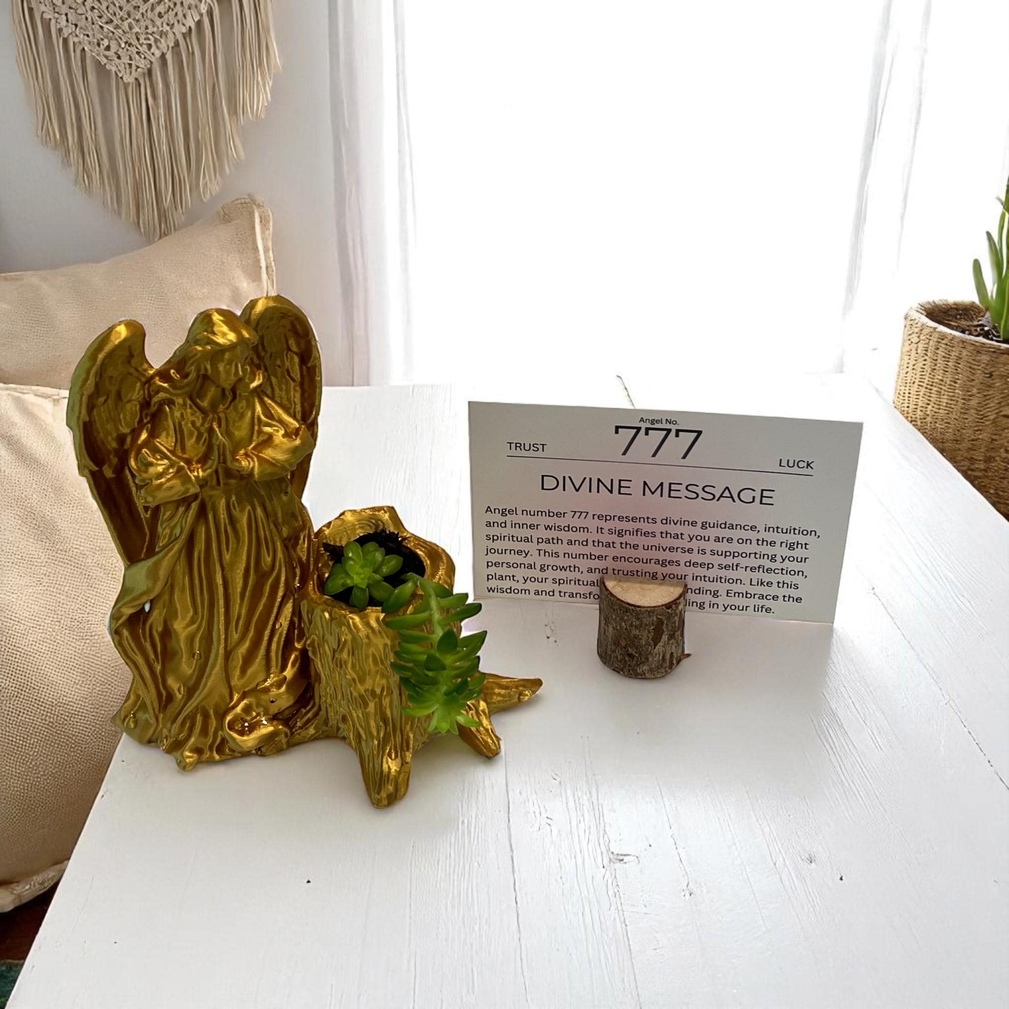 Gold Angel 777 Succulent Planter with Sedum Adolphi, Spiritual Luck and Alignment Gift - Winterberry Hearth