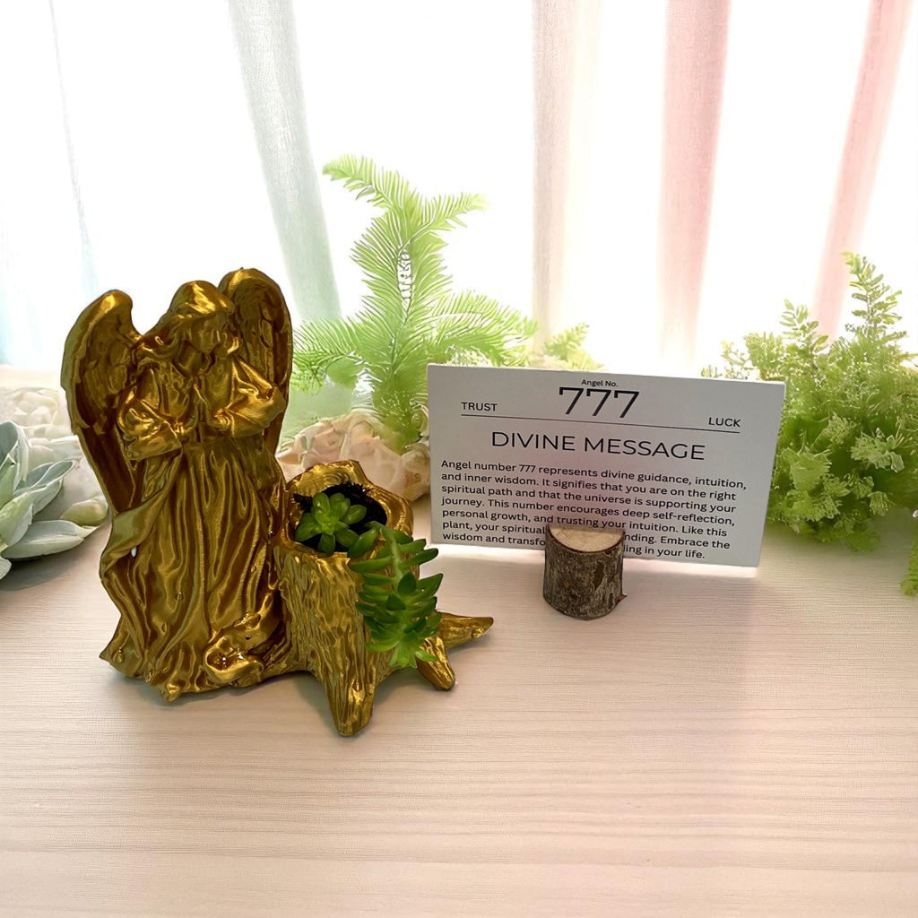 Gold Angel 777 Succulent Planter with Sedum Adolphi, Spiritual Luck and Alignment Gift - Winterberry Hearth