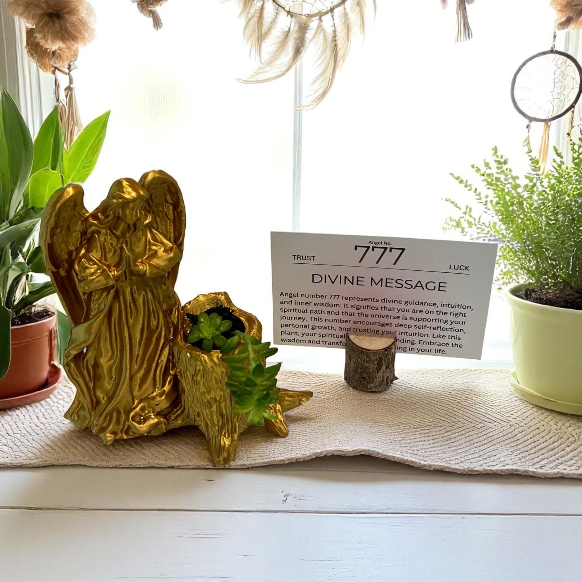 Gold Angel 777 Succulent Planter with Sedum Adolphi, Spiritual Luck and Alignment Gift - Winterberry Hearth