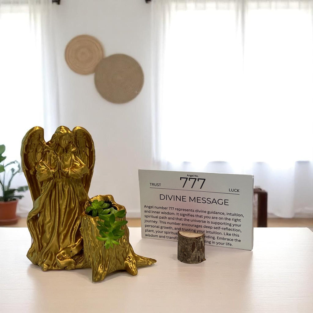 Gold Angel 777 Succulent Planter with Sedum Adolphi, Spiritual Luck and Alignment Gift - Winterberry Hearth