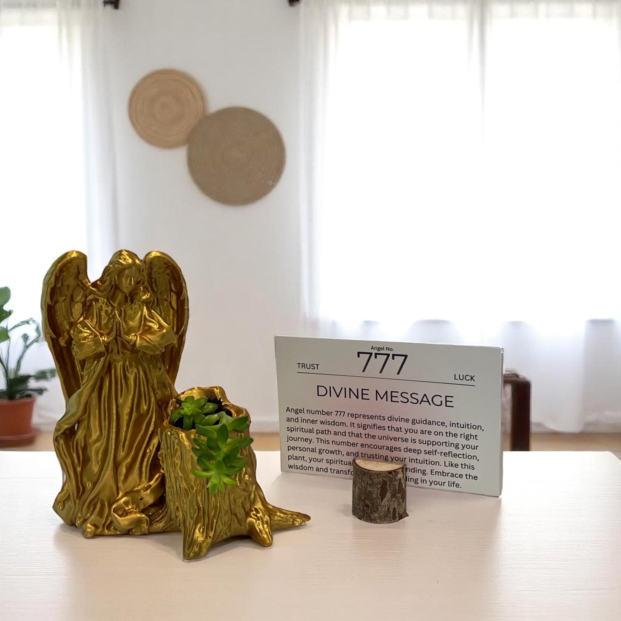 Gold Angel 777 Succulent Planter with Sedum Adolphi, Spiritual Luck and Alignment Gift - Winterberry Hearth