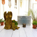 Gold Angel 888 Succulent Planter with Sedum Adolphi, Spiritual Abundance and Prosperity Gift - Winterberry Hearth