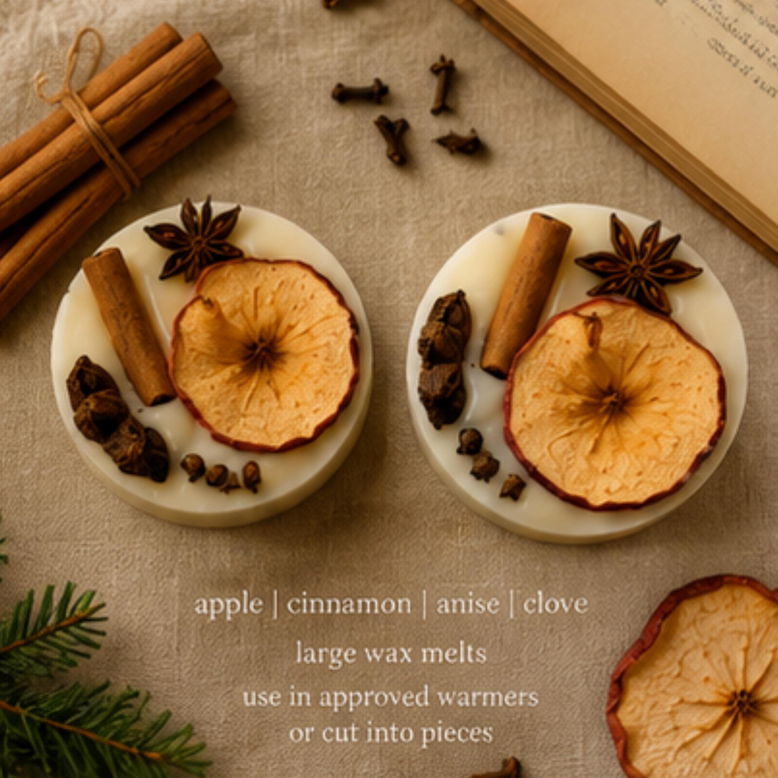 Apple Cider Hearth Wax Melt, Wickless Candle, Lamp Warmer Tart, Cozy Autumn Fragrance