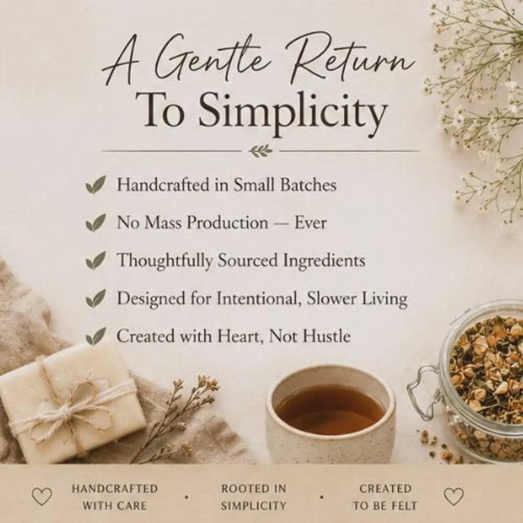 Evergreen Morning Green Tea, Citrus Mint Botanical Blend, Refreshing Loose Leaf Beverage Infusion