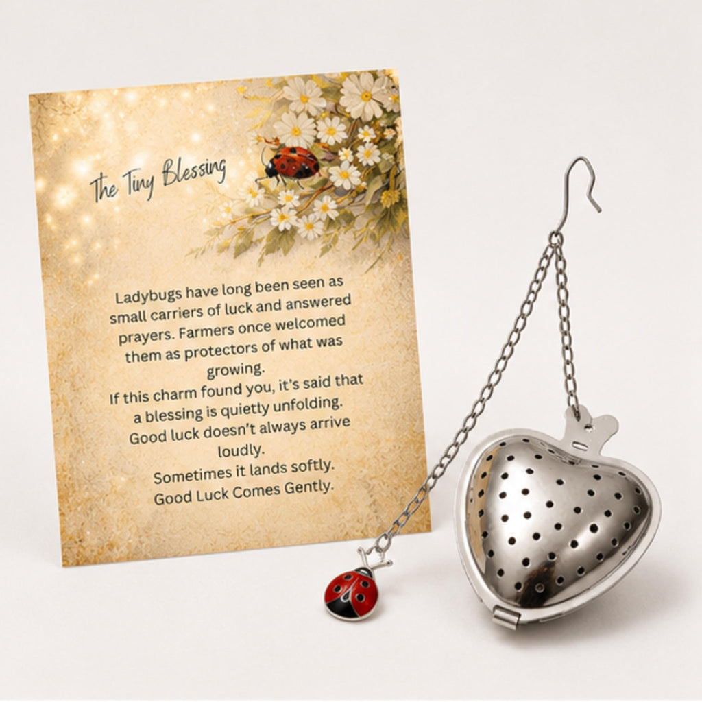 Ladybug Heart Tea Ball Infuser, Stainless Steel Herbal Tea Brewer - Winterberry Hearth