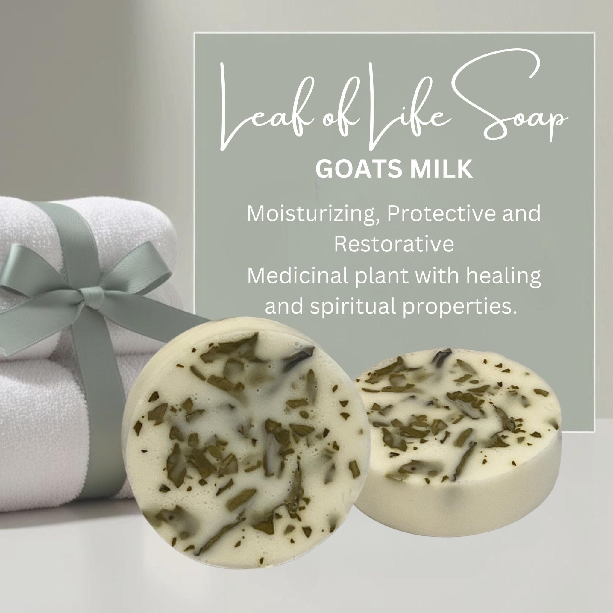 Leaf of Life Round Soap Bar: Plant-Based Miracle Leaf Skincare - Winterberry Hearth
