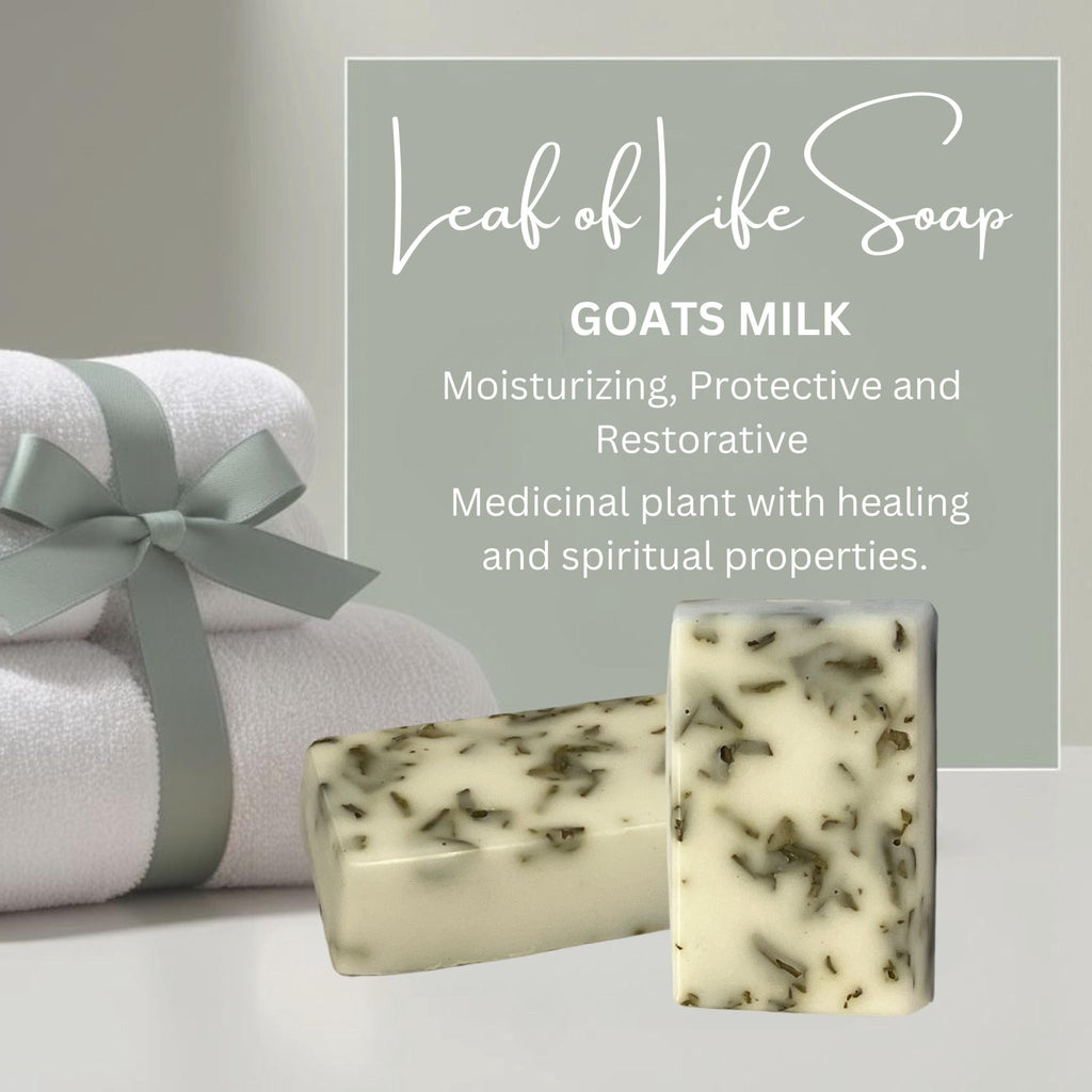 Leaf of Life Soap Bar: Miracle Leaf Plant Based Triple Butter or Goats Milk - Winterberry Hearth