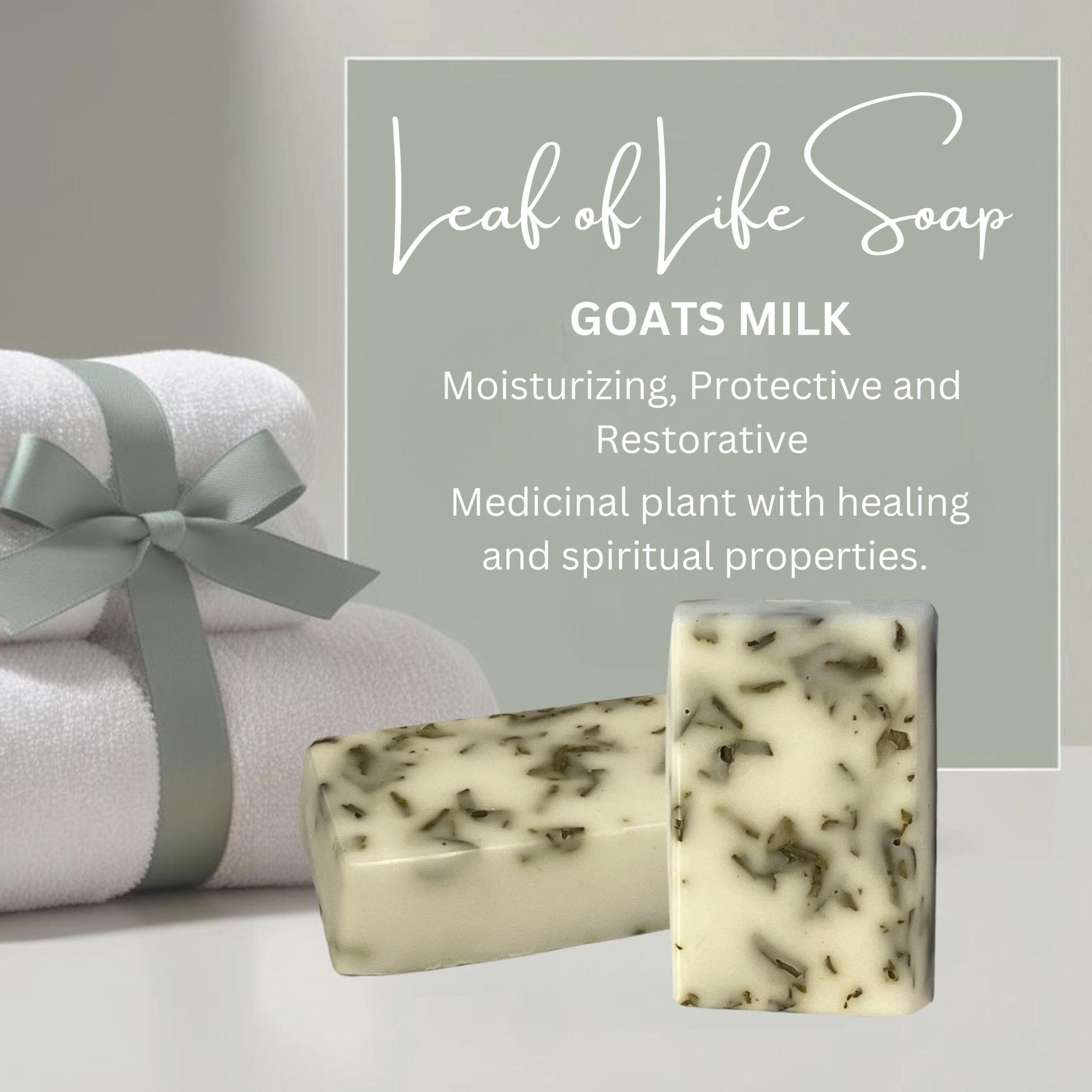 Leaf of Life Soap Bar: Miracle Leaf Plant Based Triple Butter or Goats Milk - Winterberry Hearth