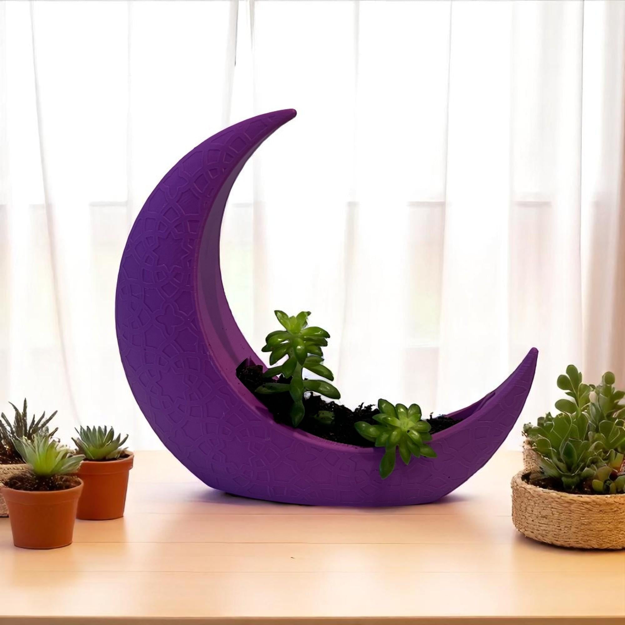 Purple Crescent Moon Succulent Planter with Shooting Star Sedum, Celestial Spiritual Plant Gift - Winterberry Hearth