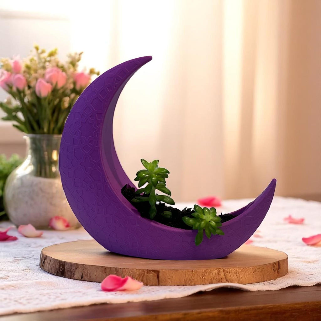 Purple Crescent Moon Succulent Planter with Shooting Star Sedum, Celestial Spiritual Plant Gift - Winterberry Hearth