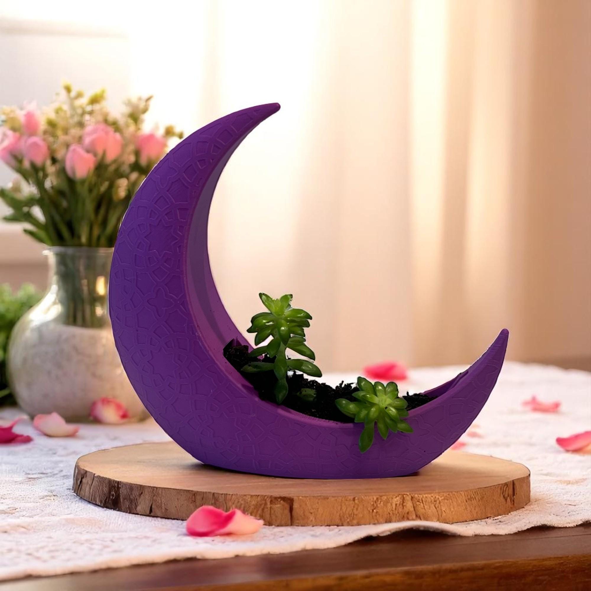 Purple Crescent Moon Succulent Planter with Shooting Star Sedum, Celestial Spiritual Plant Gift - Winterberry Hearth