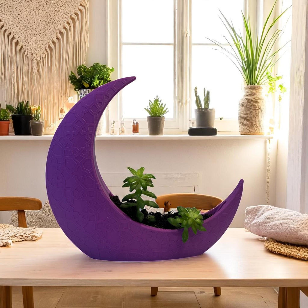 Purple Crescent Moon Succulent Planter with Shooting Star Sedum, Celestial Spiritual Plant Gift - Winterberry Hearth
