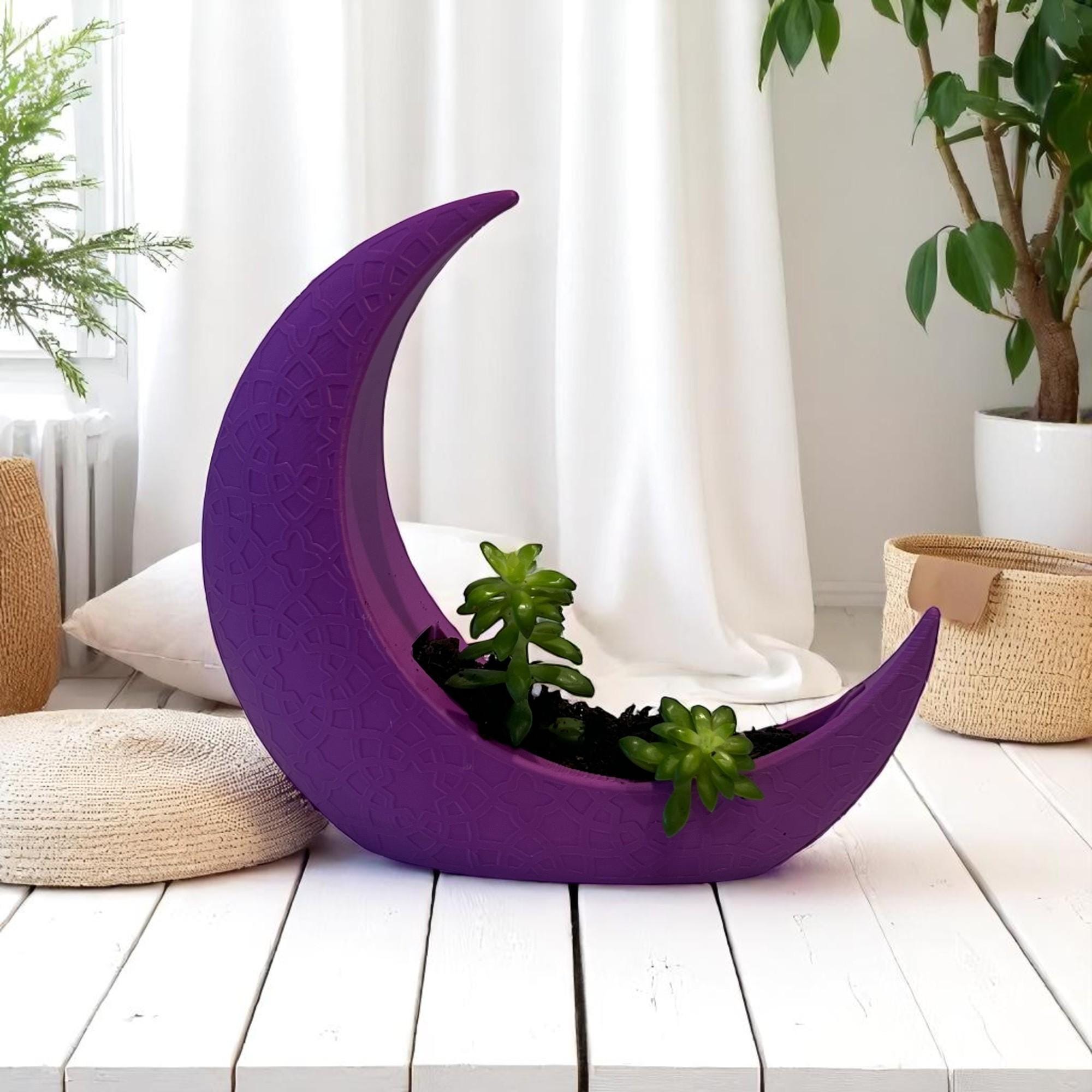Purple Crescent Moon Succulent Planter with Shooting Star Sedum, Celestial Spiritual Plant Gift - Winterberry Hearth