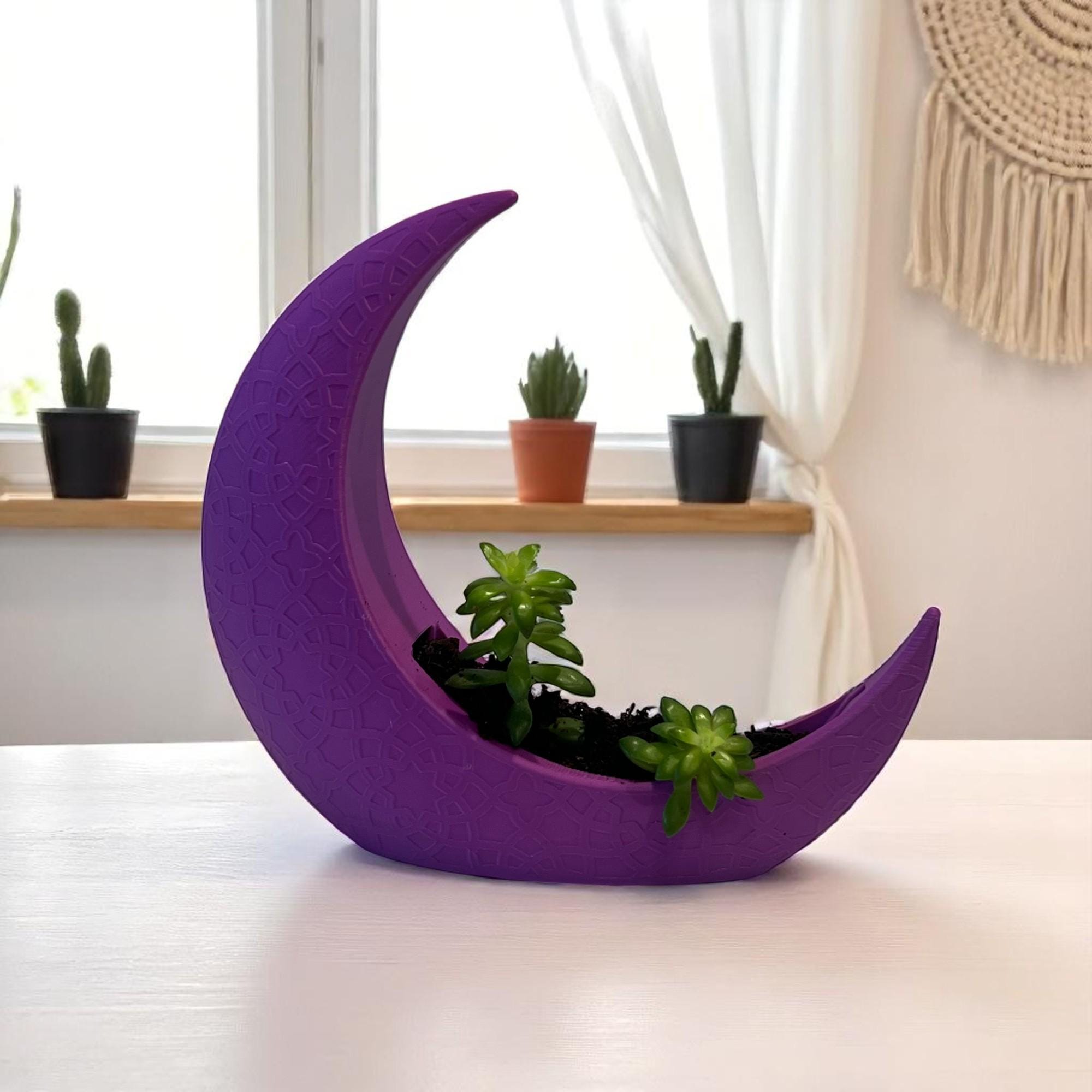 Purple Crescent Moon Succulent Planter with Shooting Star Sedum, Celestial Spiritual Plant Gift - Winterberry Hearth
