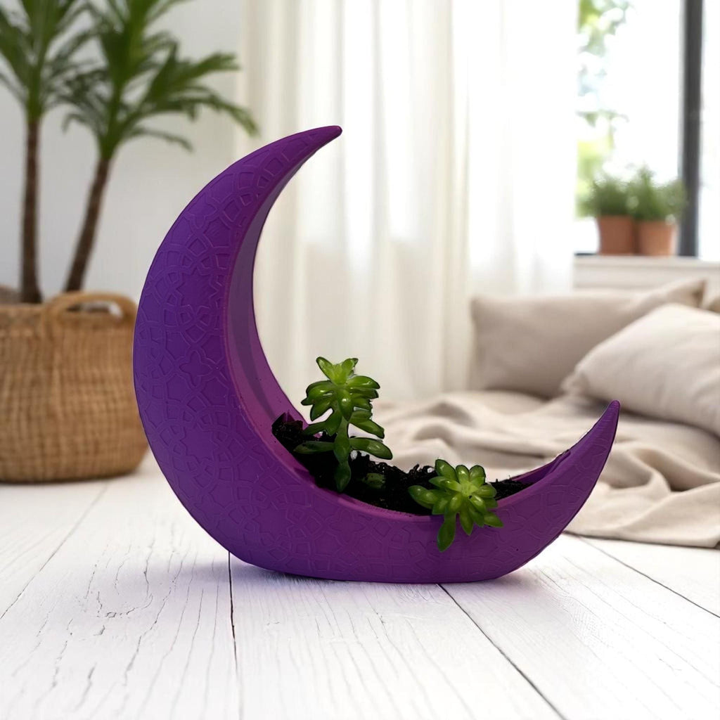 Purple Crescent Moon Succulent Planter with Shooting Star Sedum, Celestial Spiritual Plant Gift - Winterberry Hearth