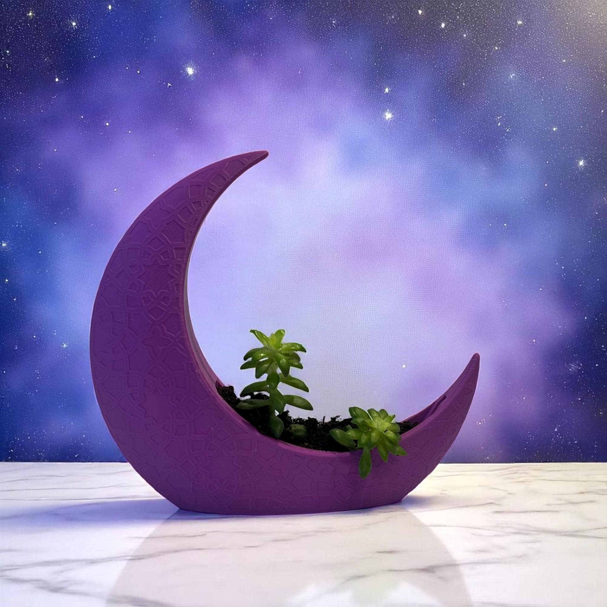 Purple Crescent Moon Succulent Planter with Shooting Star Sedum, Celestial Spiritual Plant Gift - Winterberry Hearth